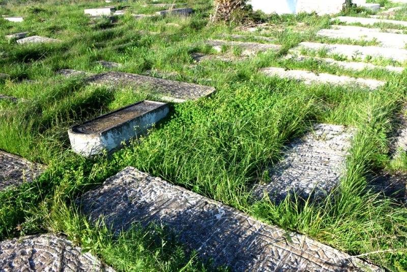 maroc sale cimetiere juif tombes ZBL 9732 (80)